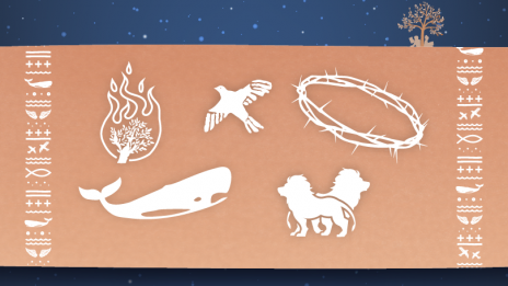 Sveopisemski kviz (photo: Štefan Iskra)