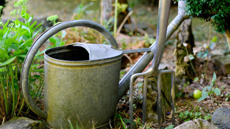 Zalivalka, kangla... (photo: Congerdesign from Pixabay)