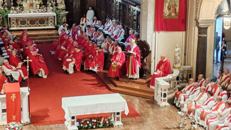 Slovesno somaševanje med umestitveno mašo (photo: Goriška nadškofija)