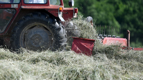 Spravilo sena, traktor, kmetijstvo (photo: Tamino Petelinšek/STA)