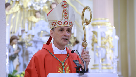 Škof Andrej Saje med nagovorom (photo: Jože Potrpin)