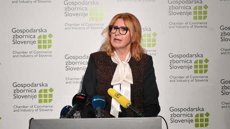Generalna direktorica Gospodarske zbornice Slovenija Vesna Nahtigal (photo: posnetek zaslona)