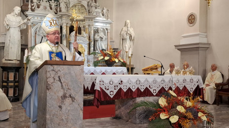 Nagovor škofa Franca Šuštarja na Brezjah (photo: Marjana Debevec)