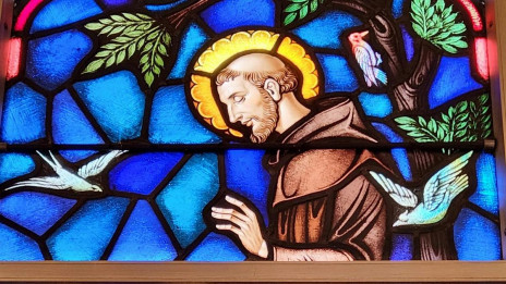 Sveti Frančišek (photo: Glen Mc Call / Pexels)