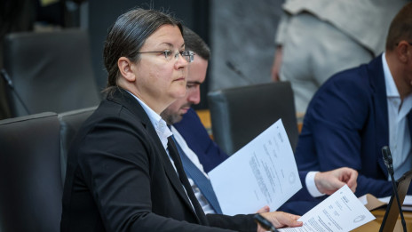Poslanka Katja Kokot (photo: Daniel Novakovič / STA)