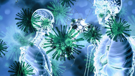 Koronavirus (photo: Pixabay)