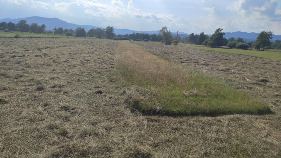 Košnja barjanskega travnika vključenega v ukrep MET. Na delu travnika je bilo potrebno pustiti nepokošen pas. (photo: Robert Božič)