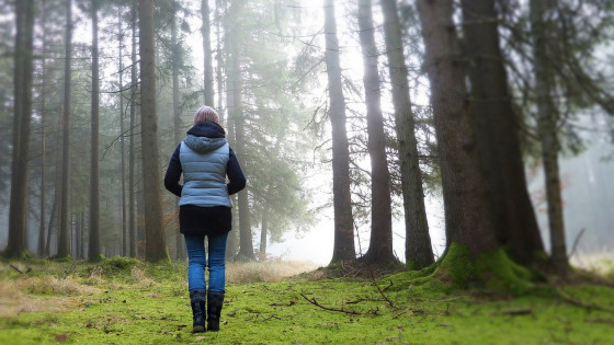 Ob hormonskem neravnovesju, ko sebe ne spoznamo, je tudi narava lahko zelo pomirjujoča. (photo: PixaBay)