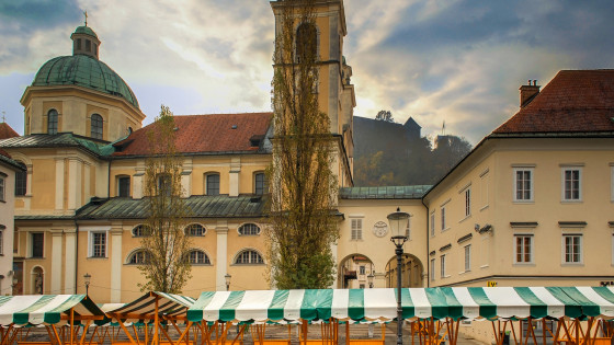 Ljubljanska stolnica s tržnico v ospredju (photo: Mihael Grmek, CC BY-SA 3.0 <https://creativecommons.org/licenses/by-sa/3.0>, via Wikimedia Commons)
