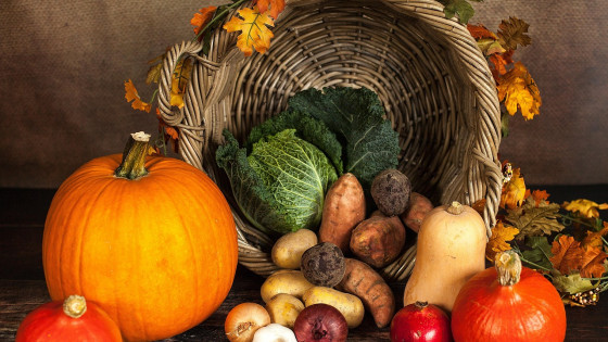 Zahvalna nedelja (photo: Pixabay/Sabina Ripke/https://pixabay.com/photos/pumpkin-vegetables-autumn-basket-1768857/)