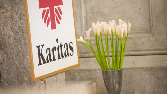 Slovenska karitas (photo: STA / Boštjan Podlogar)