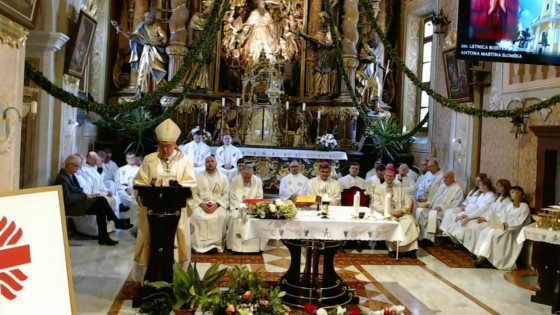 Nadškof Alojzij Cvikl (photo: Zajem zaslona Youtube prenosa iz župnijske cerkve sv. Martina na Ponikvi)
