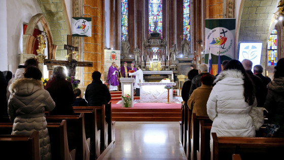 Škof Maksimilijan Matjaž (photo: Vatican News/Jože Potrpin)