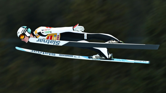 Smučarski skakalec Domen Prevc  (photo: dpa/STA)