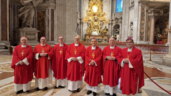 Slovenski škofje v vatikanski baziliki (photo: Primož Lorbek)