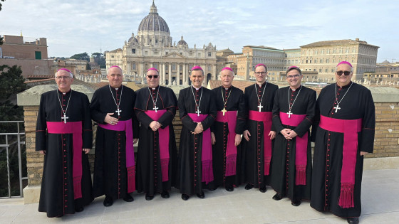 Slovenski škofje v Vatikanu (photo: )