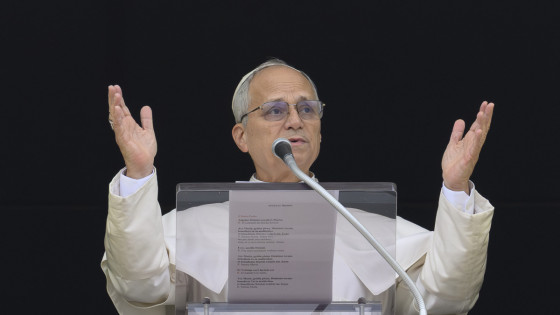 Papaž tudi danes nagovoril vernike po opoldanski molitvi (photo: Elisabetta Trevisan)