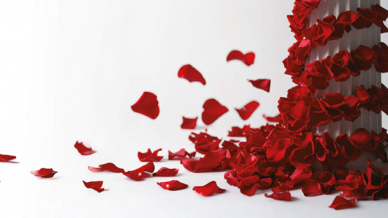 Za Andrejo Jernejčič prepoznavni lističi rdeče vrtnice, ki krasijo tudi njene knjige (photo: Osebni arhiv)