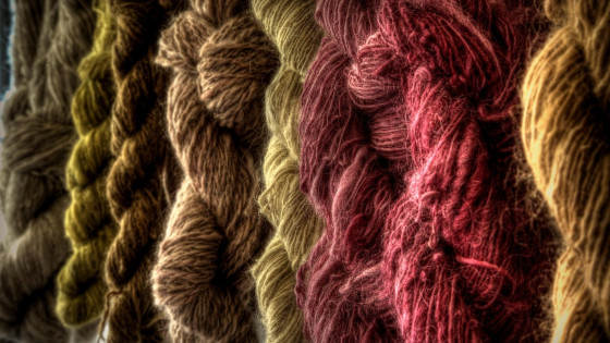 Volna je material, človeku in okolju zelo prijazen, žal premalo izrabljen (photo: PixaBay)