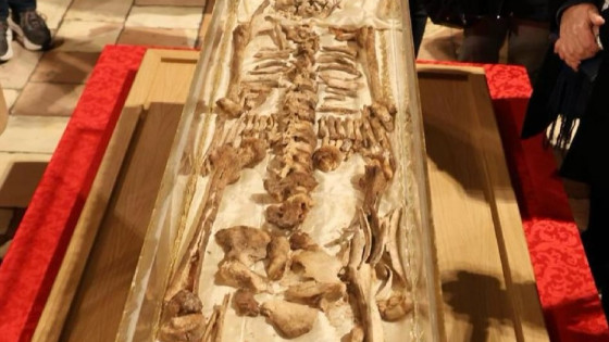 Relikvije sv. Frančiška (photo: Vatican Media)