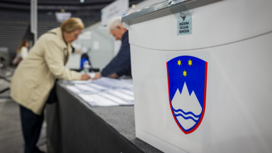 Volitve, glasovanje, volilna skrinjica (photo: STA/Bor Slana)
