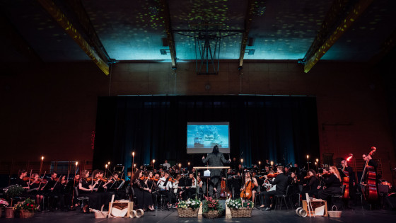 Simfonični orkester Glasbene šole Ribnica (photo: Boštjan Podlogar)