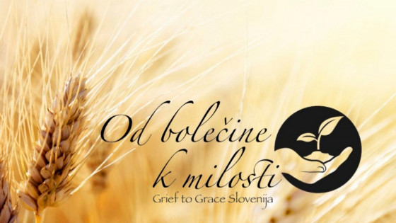 Naslov programa za ozdravitev po zlorabah (photo: Spletns stran Od bolečine k milosti)