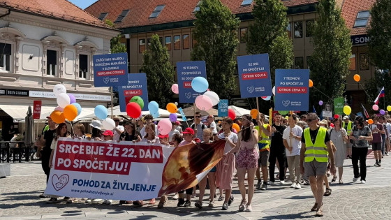 Pohod za življenje v Mariboru (photo: FB Pohod za življenje)