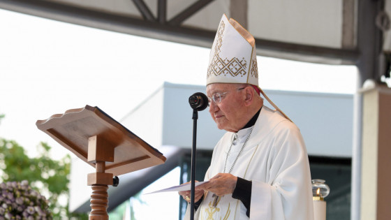 Nadškof Aldo Cavalli (photo: ICMM/Radio Mir Medžugorje)