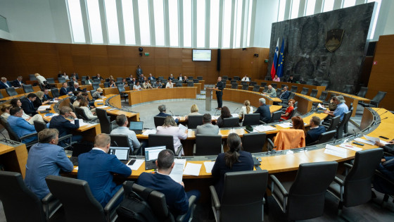 Državni zbor, poslanci (photo: STA/Bor Slana)