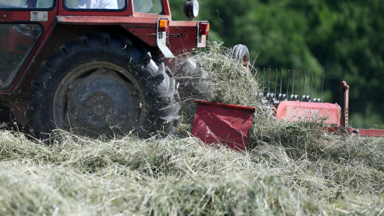 Spravilo sena, traktor, kmetijstvo (photo: Tamino Petelinšek/STA)