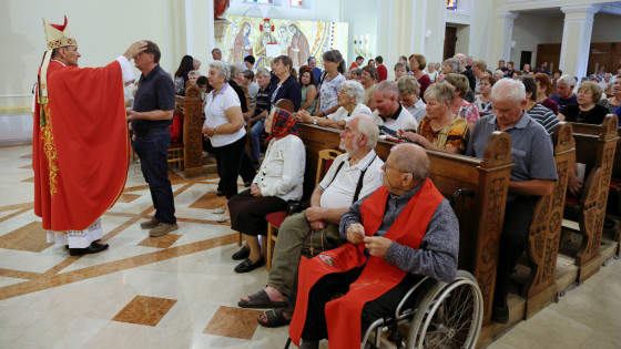 Škof Andrej Saje je bolnim in ostarelim podelil zakrament bolniškega maziljenja (photo: Jože Potrpin)