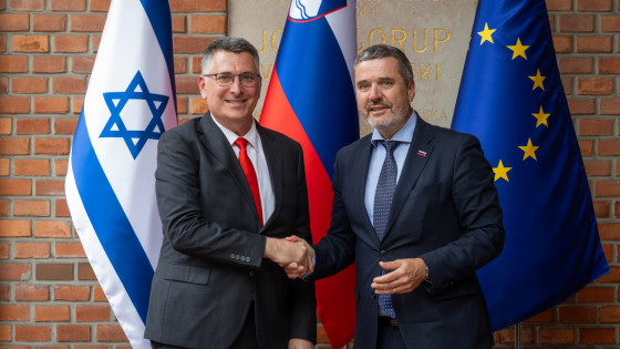 Izraelski zunanji minister Gideon Sar in minister za zunanje in evropske zadeve Tone Kajzer (photo: Bor Slana/STA)