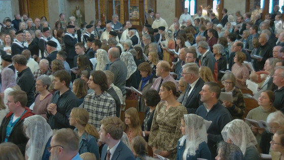 Verniki so stolnico napolnili do zadnjega kotička (photo: posnetek zaslona)