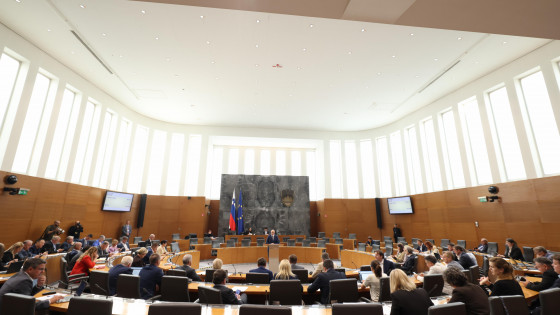 Državni zbor  (photo: Matija Sušnik/Državni zbor)