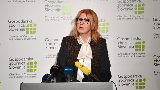 Generalna direktorica Gospodarske zbornice Slovenija Vesna Nahtigal (photo: posnetek zaslona)