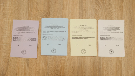 Glasovanje na štirih referendumih (photo: Nebojiša Tejič/STA)