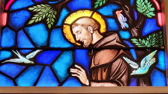 Sveti Frančišek (photo: Glen Mc Call / Pexels)