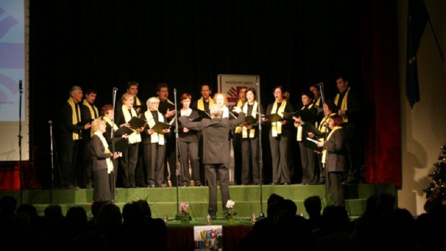 Dobrodelni koncert Karitas, Slo. Bistrica (foto: ARO)