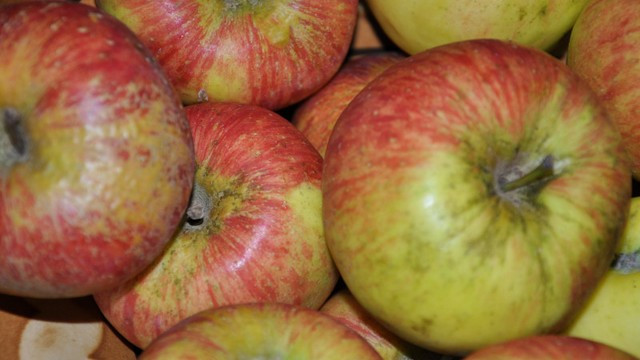 Eno domače jabolko na dan... (foto: ARO)