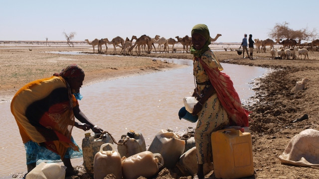 Pomanjkanje pitne vode kot posledice globalnega segrevanja v afriški pokrajini Darfur (foto: Tomo Križnar)