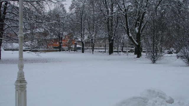 Sneg je pobelil vso državo (foto: ARO)