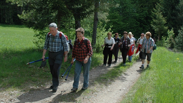 Iz Babnega polja do Goričic (foto: Alenka Veber)