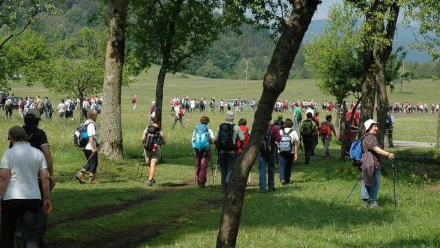 Pohod v prelepi naravi (foto: Alenka Veber)