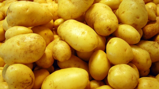 Krompir (foto: ARO)