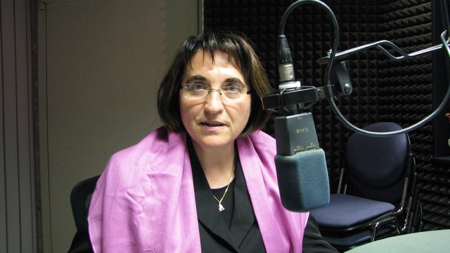 dr. Ljubica Jelušič (foto: ARO)