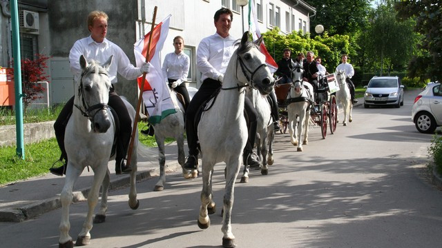 Obisk lipicancev na Radiu Ognjišče (foto: ARO)