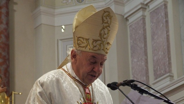 Škof Jurij Bizjak (foto: ARO)