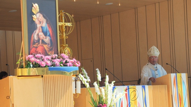 Nadškof Anton Stres na Brezjah (foto: Janez Platiše)