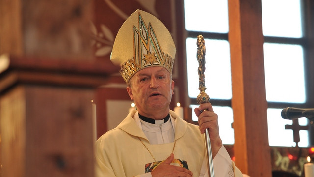 Škof Anton Jamnik (foto: Tatjana Splichal)